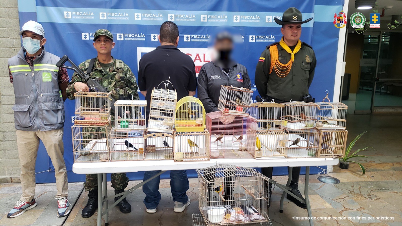 Fiscalía judicializa a hombre por venta ilegal de aves silvestres en Antioquia