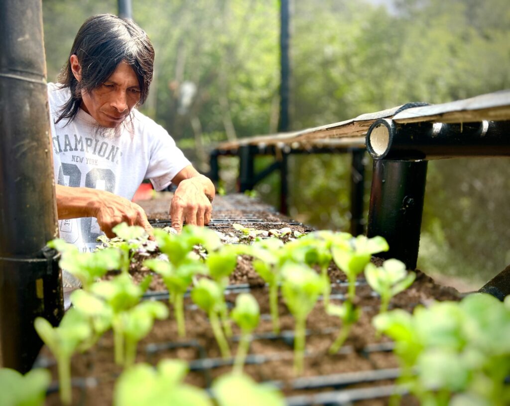 Gobernación de Caldas le cumplió a comunidades indígenas: en alianza con MinAmbiente se invirtieron más de 2 mil millones en acciones de conservación
