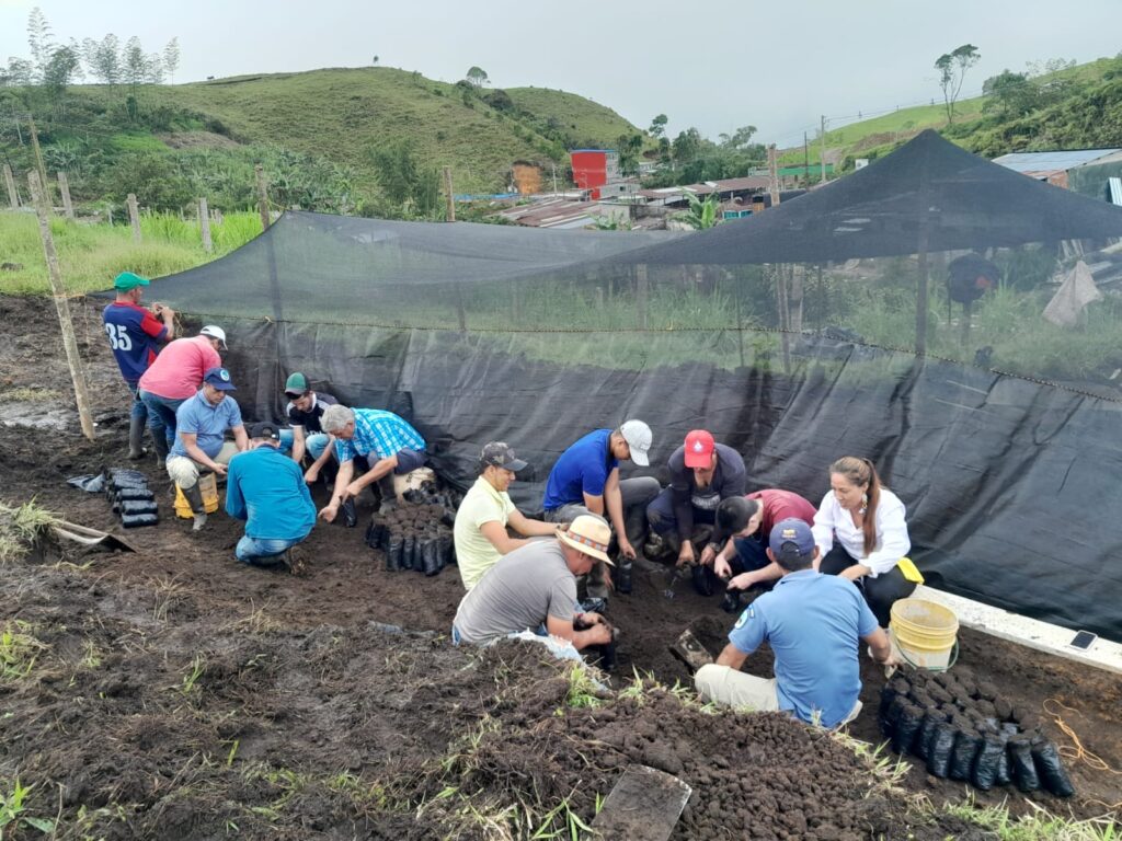 Gobernación presentará su proyecto ‘Sembrando vida por Caldas’ en la COP16