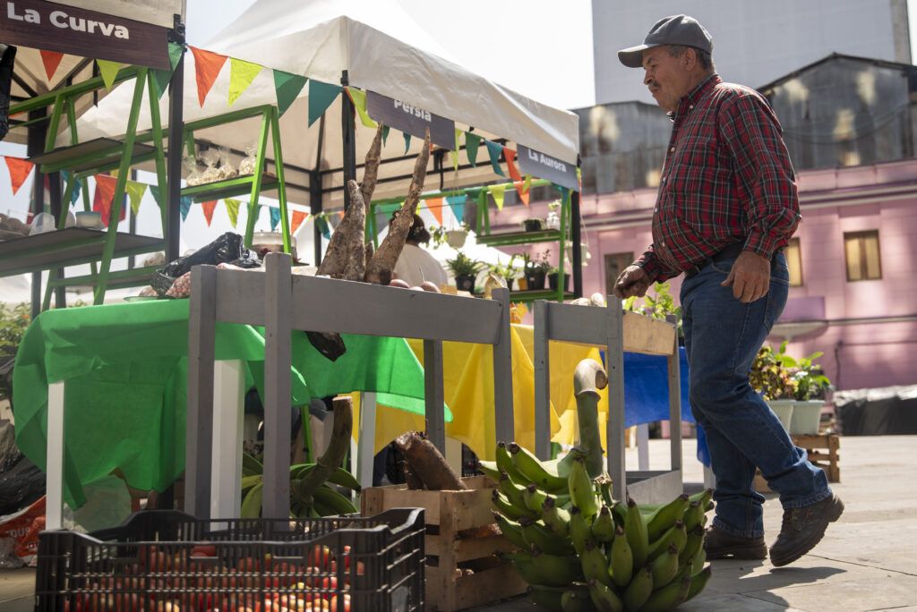 “Gobierno en la Calle Campesino” genera ingresos por $80 millones para los productores agrícolas