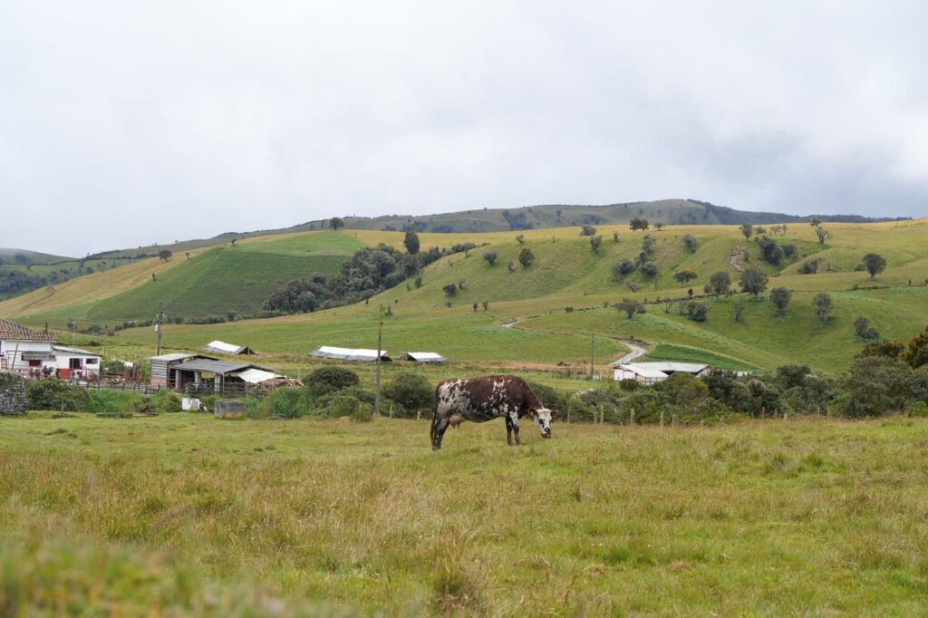 Gobierno en la Calle continúa en zona rural, este viernes va a las veredas El Desquite y Bellavista