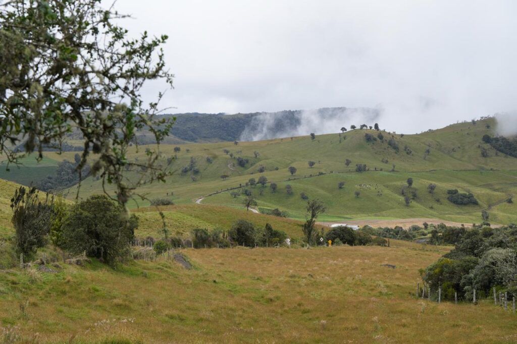 Gobierno en la Calle continúa en zona rural, este viernes va a las veredas El Desquite y Bellavista