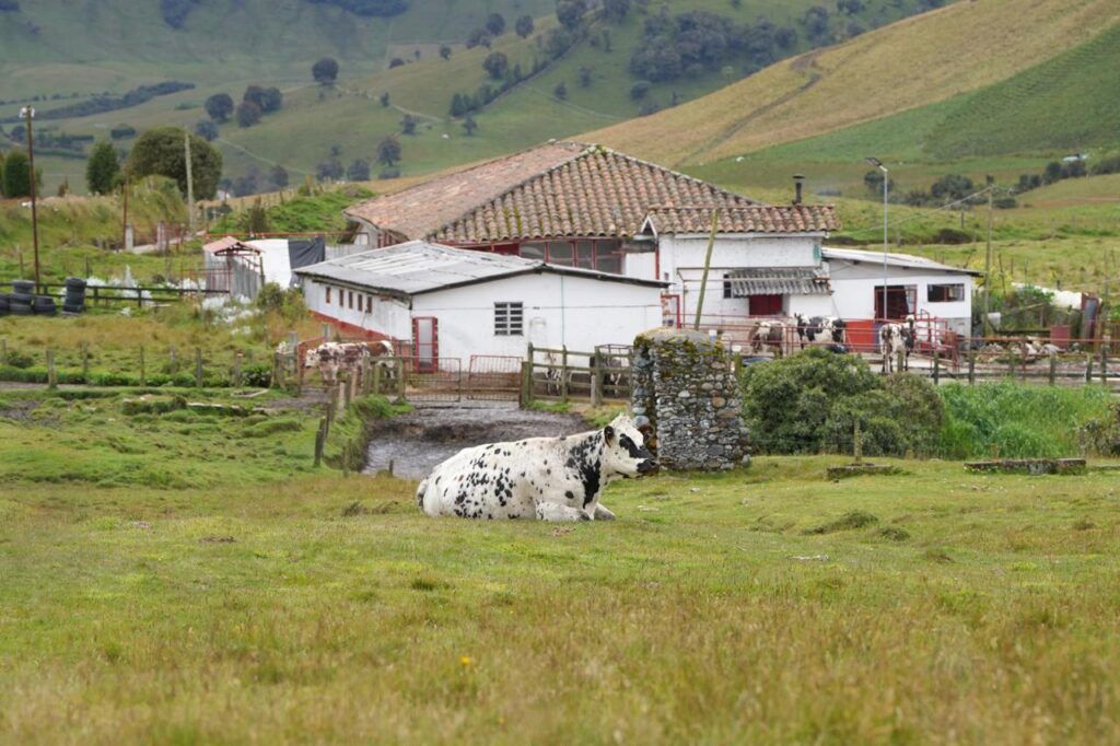 Gobierno en la Calle continúa en zona rural, este viernes va a las veredas El Desquite y Bellavista