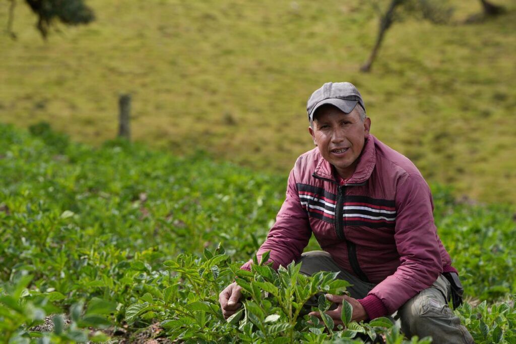 Gobierno en la Calle continúa en zona rural, este viernes va a las veredas El Desquite y Bellavista