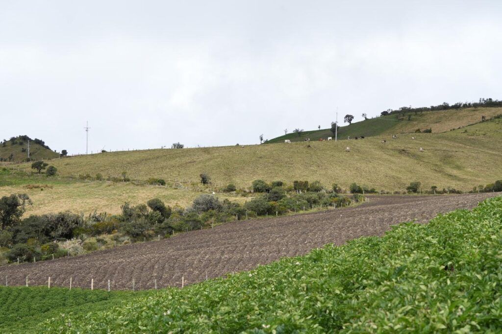 Gobierno en la Calle continúa en zona rural, este viernes va a las veredas El Desquite y Bellavista