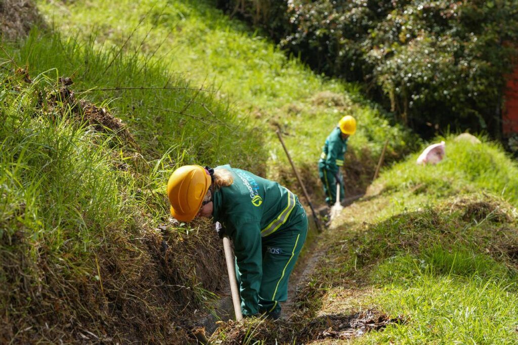 La gestión del riesgo de Manizales progresa con el programa “Guardianas de las Laderas”, que brinda empleo a 80 mujeres cabeza de familia