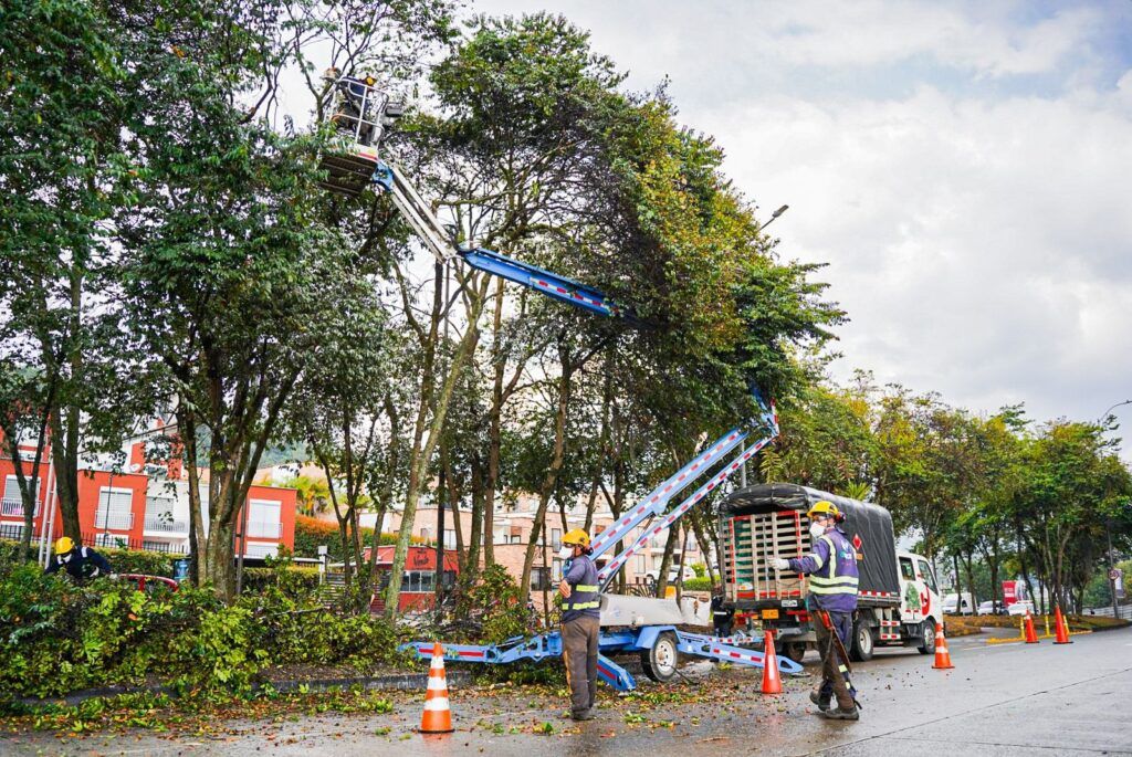 Las laderas junto a las vías en Manizales cada vez están más despejadas de material de capa vegetal
