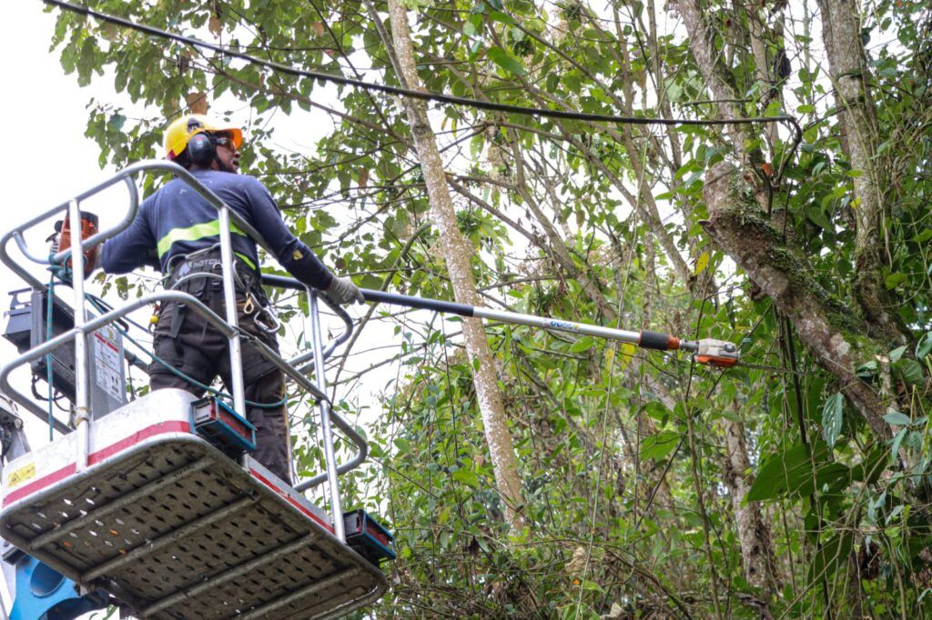 Las laderas junto a las vías en Manizales cada vez están más despejadas de material de capa vegetal
