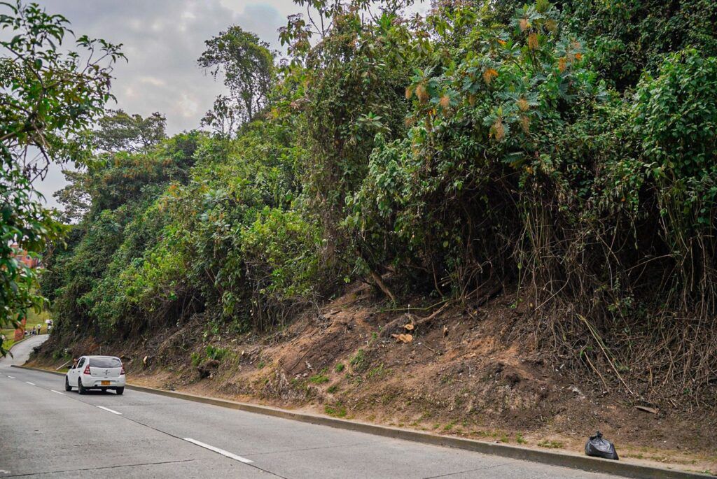 Las laderas junto a las vías en Manizales cada vez están más despejadas de material de capa vegetal
