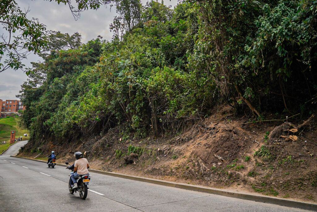 Las laderas junto a las vías en Manizales cada vez están más despejadas de material de capa vegetal
