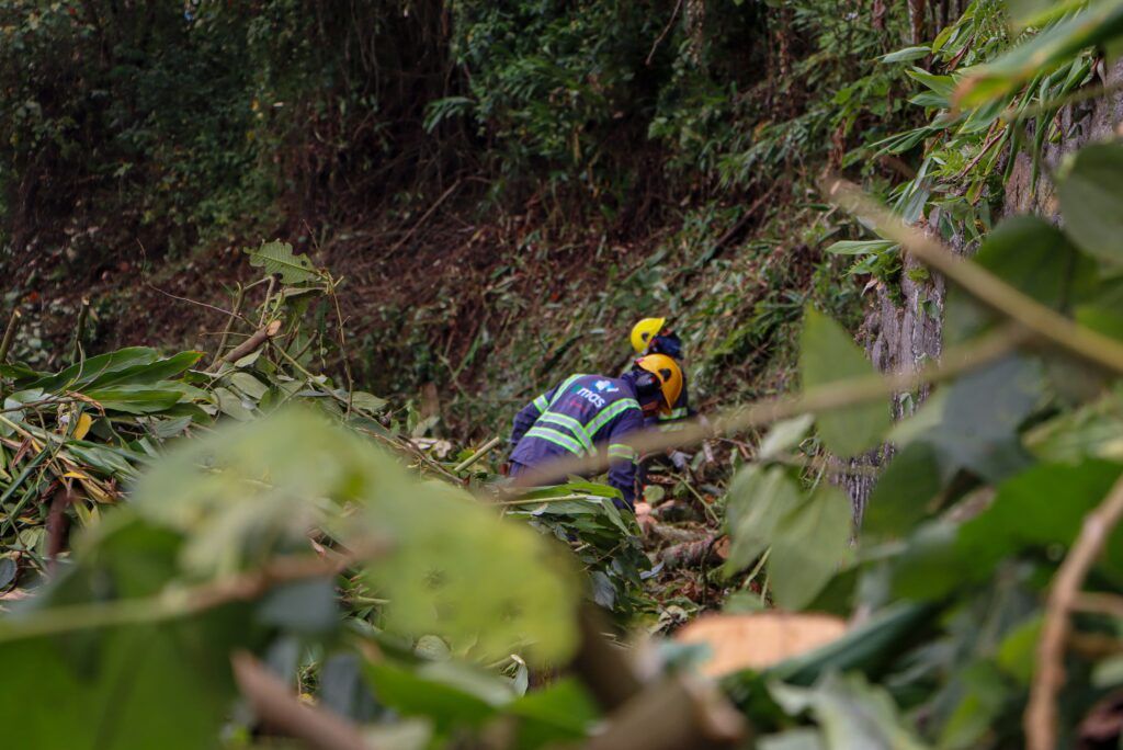 Las laderas junto a las vías en Manizales cada vez están más despejadas de material de capa vegetal
