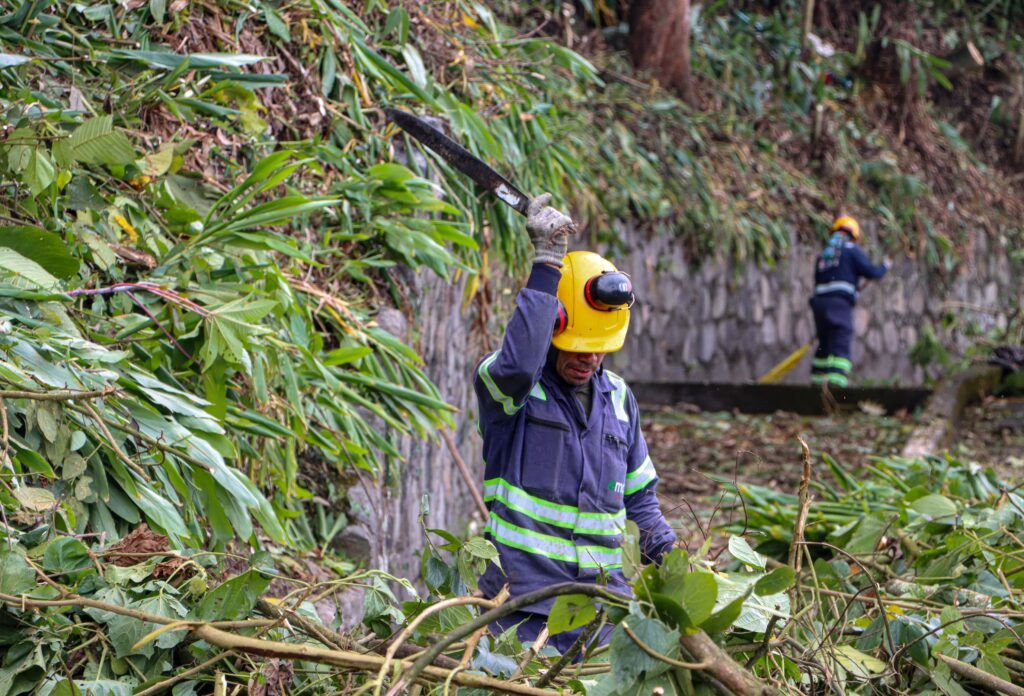 Las laderas junto a las vías en Manizales cada vez están más despejadas de material de capa vegetal
