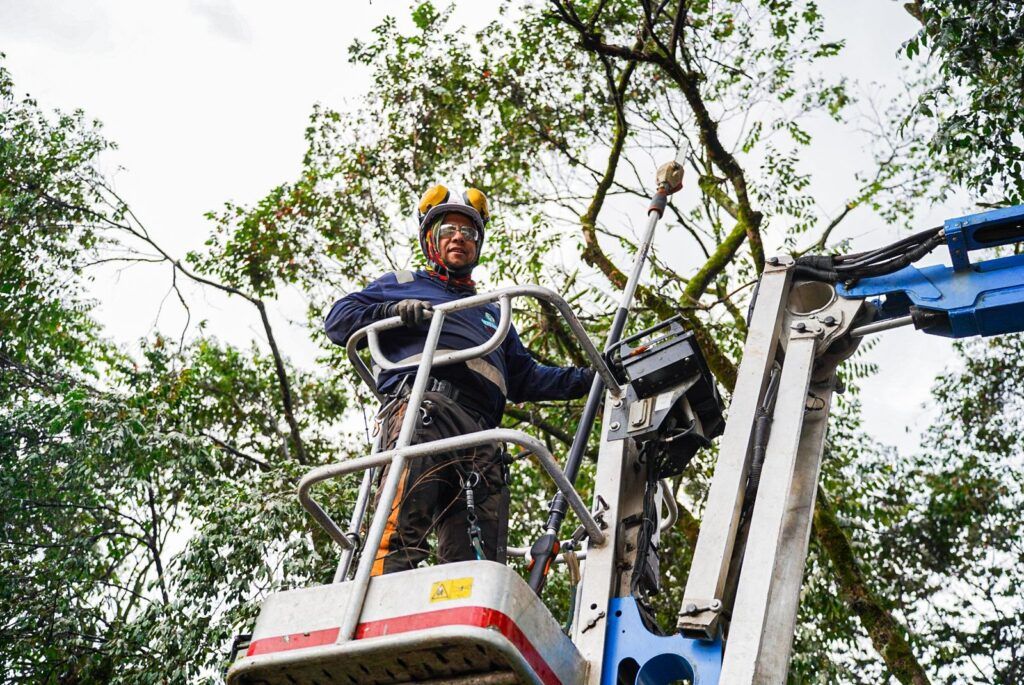 Manizales Despeja Sus Laderas: Un Compromiso por la Seguridad y el Medio Ambiente