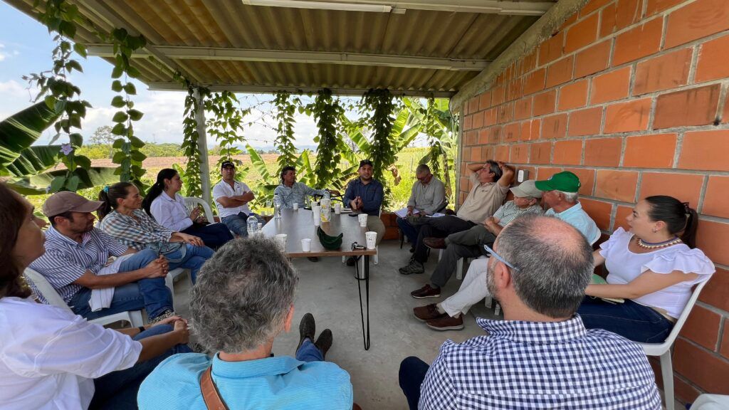 Manizales impulsa la exportación de cítricos a nuevos mercados internacionales