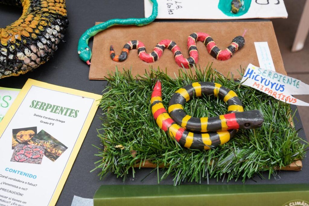 Niños y jóvenes, estudiantes de Manizales, muestran experiencias por el cambio climático y la biodiversidad