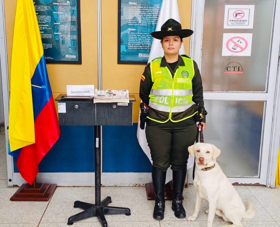 Olfato Canino descubre Libro con Marihuana en la Terminal de Manizales