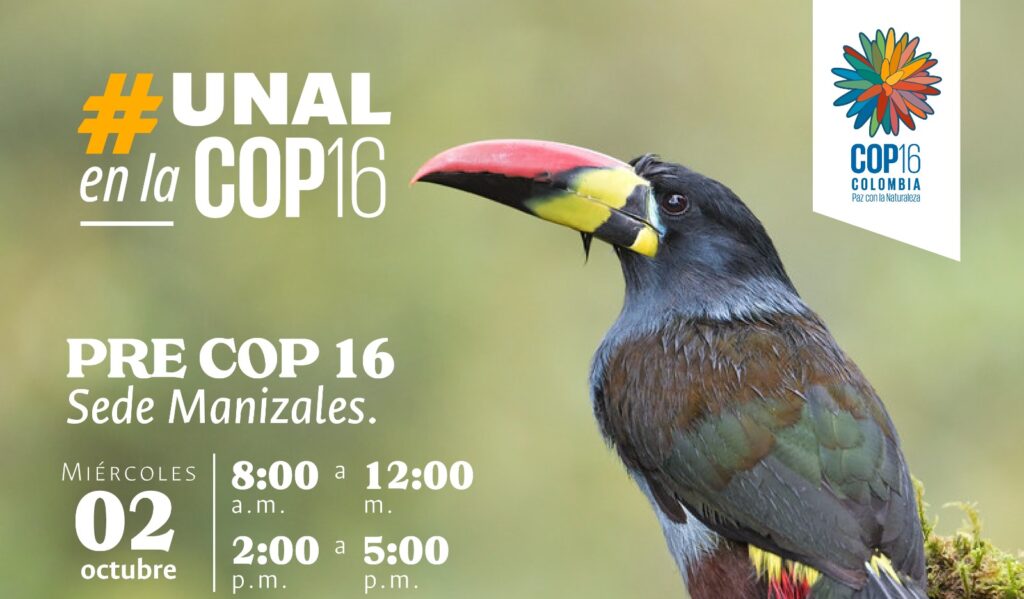 UNAL Sede Manizales será sede del Pre COP 16: un diálogo sobre biodiversidad