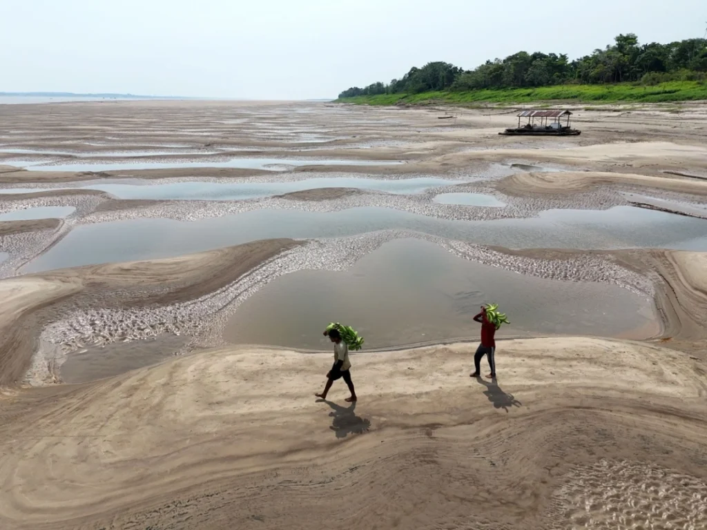 Ríos de la Amazonia sufren severa sequía