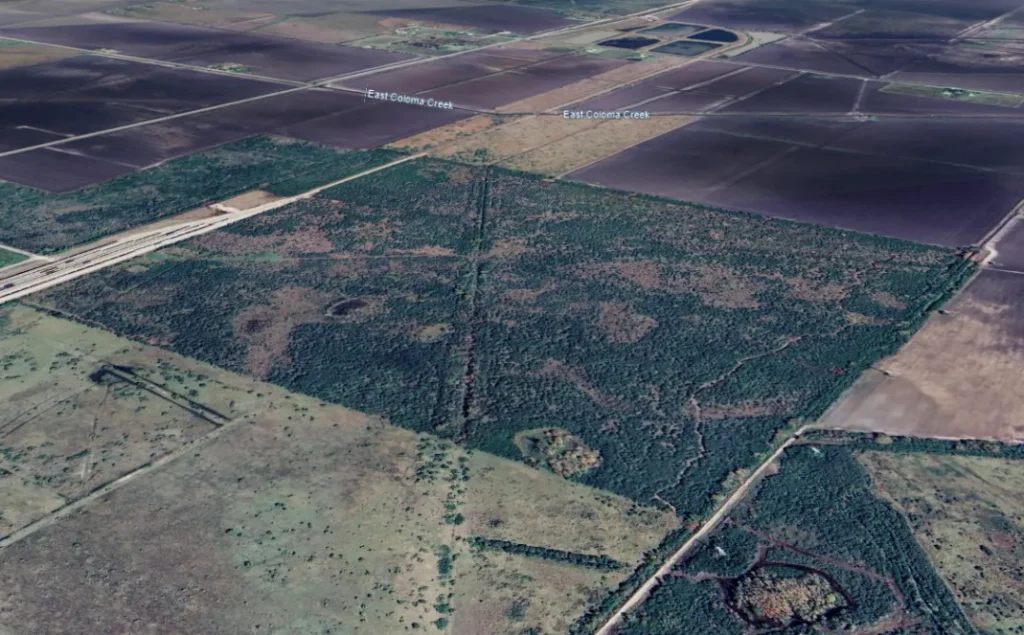 La competencia entre China y Estados Unidos por tierras raras se intensifica