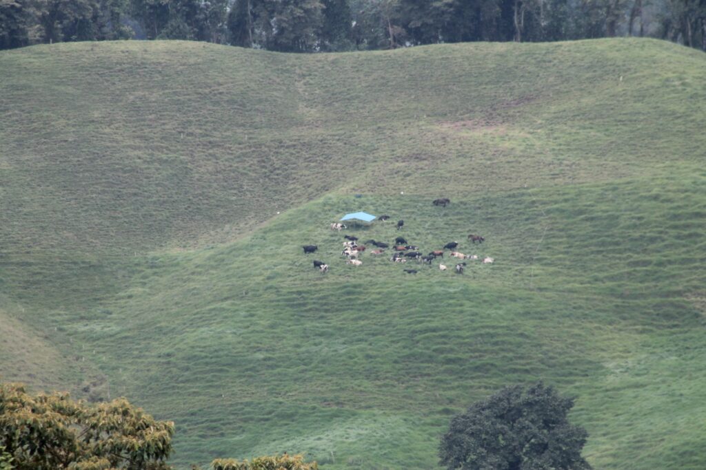 Estuvimos en… El Desquite y Buenavista