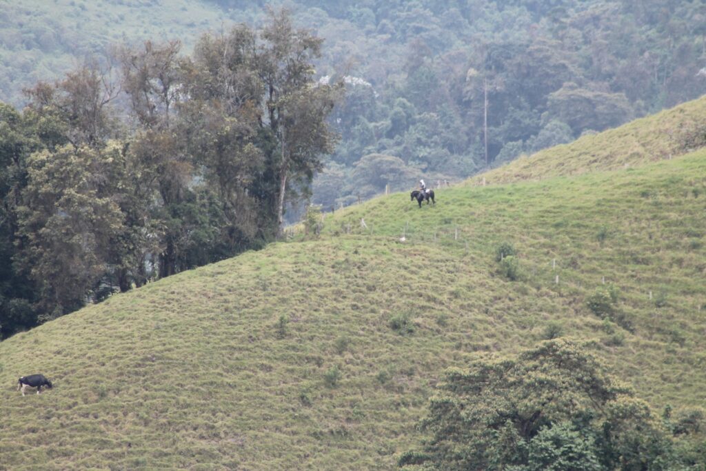 Estuvimos en… El Desquite y Buenavista