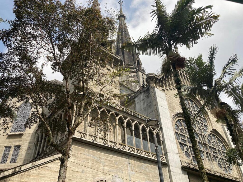 ¡No alimentar a las palomas en el Centro Histórico!: campaña de sensibilización de la secretaría de Medio Ambiente de Manizales