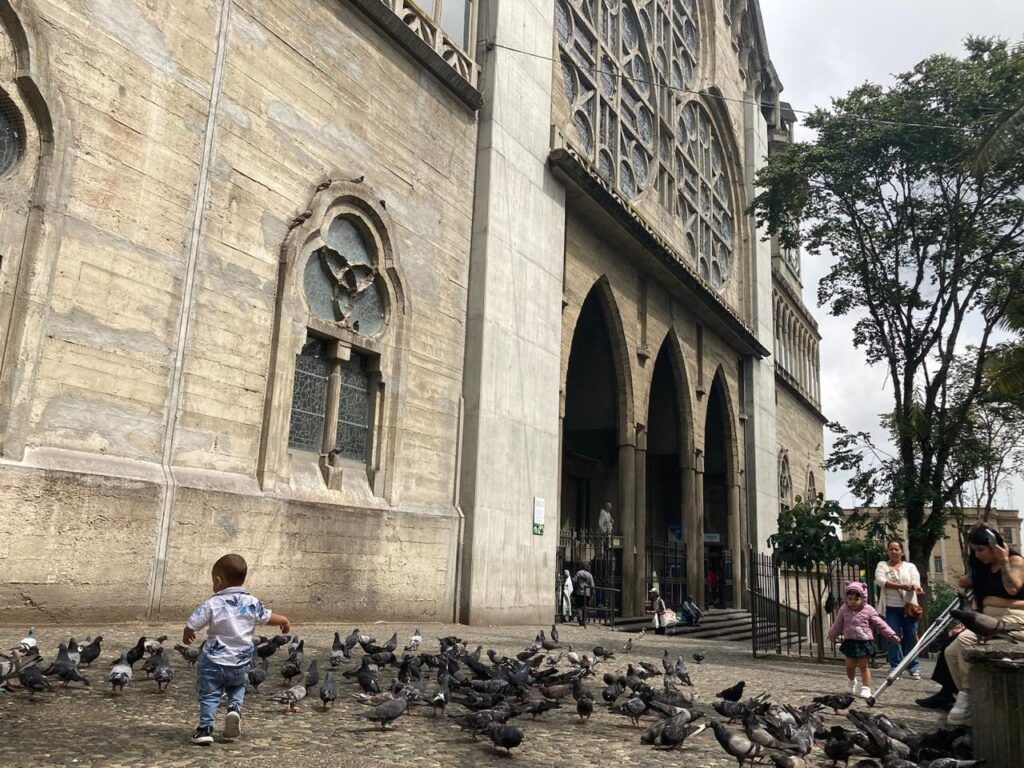 Alcaldía de Manizales Lanza Campaña Contra Alimentación de Palomas en el Centro Histórico