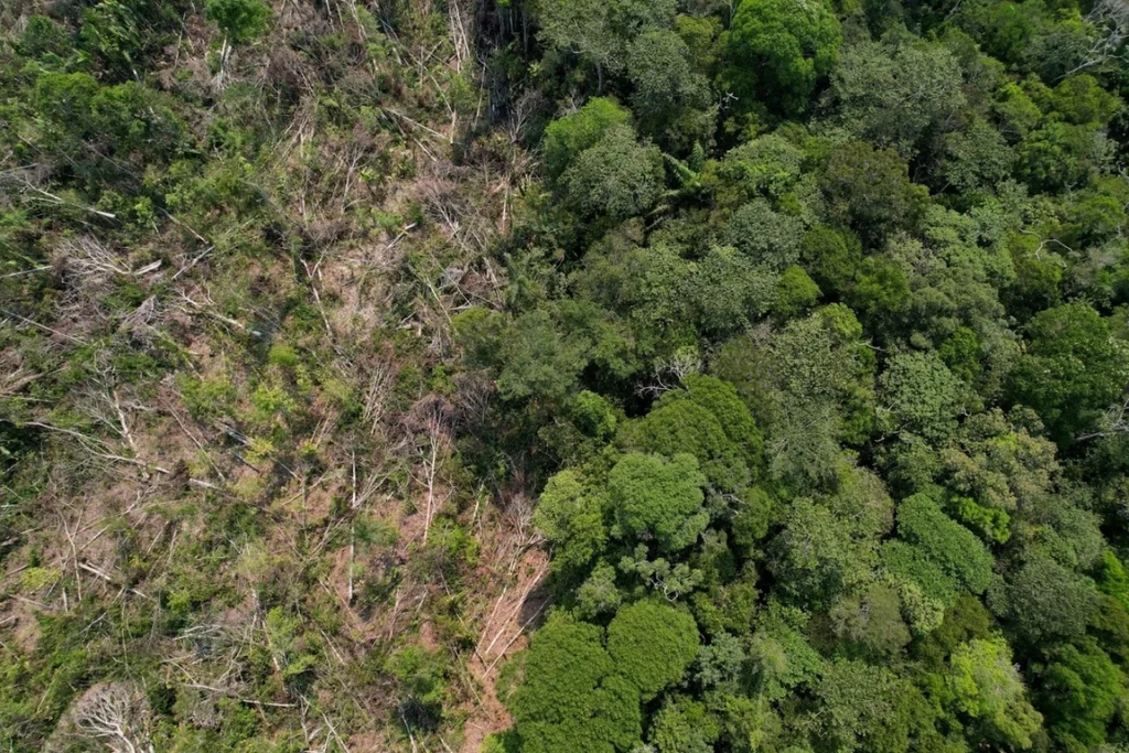 Colombia inaugura cumbre de biodiversidad