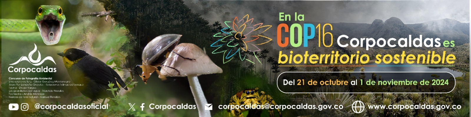 Corpocaldas estará presente en la COP16