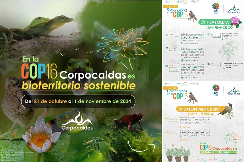 ¡Cali Vive la COP 16 con Corpocaldas! Descubre la Biodiversidad en la Plazoleta San Francisco