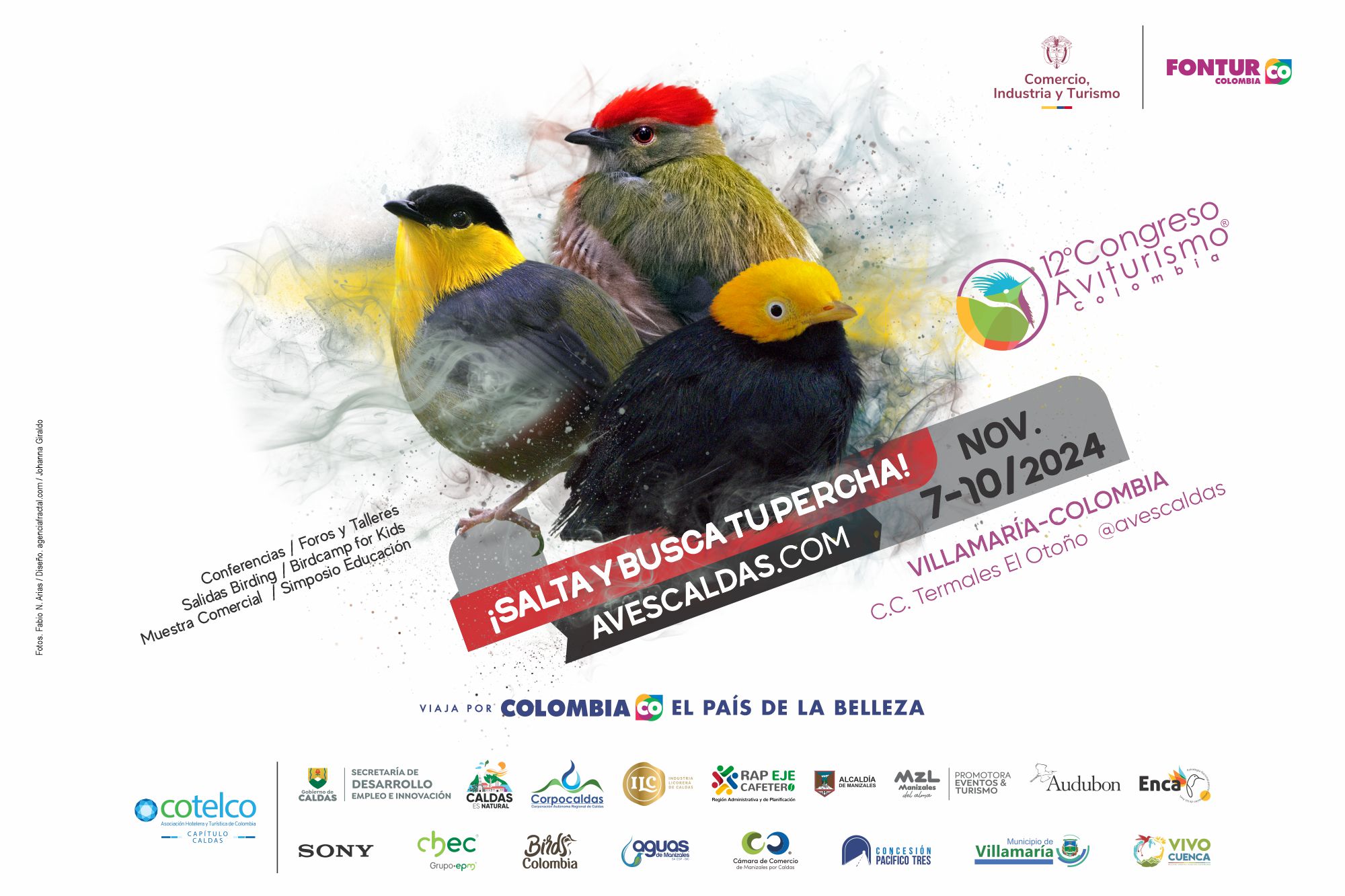 ¡Inicia la cuenta regresiva para el 12° Congreso de Aviturismo! La agenda académica del evento cuenta con expertos de varios países del mundo y con la agenda experiencial para observar aves en los principales hotspots de Caldas, con un potencial hasta de 400 especies de aves por registrar.