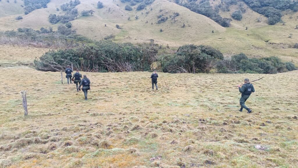 EL GRUPO GAULA REALIZA IMPORTE INCAUTACIÓN
lograron un importante hallazgo que permite recuperar la tranquilidad de la ciudadanía, especialmente en el sector rural.