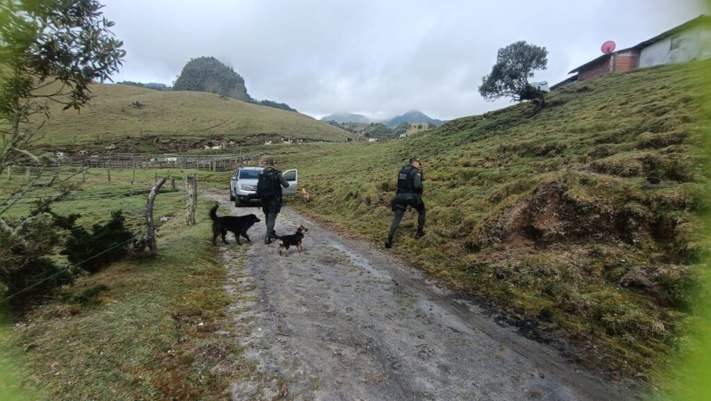 EL GRUPO GAULA REALIZA IMPORTE INCAUTACIÓN
lograron un importante hallazgo que permite recuperar la tranquilidad de la ciudadanía, especialmente en el sector rural.