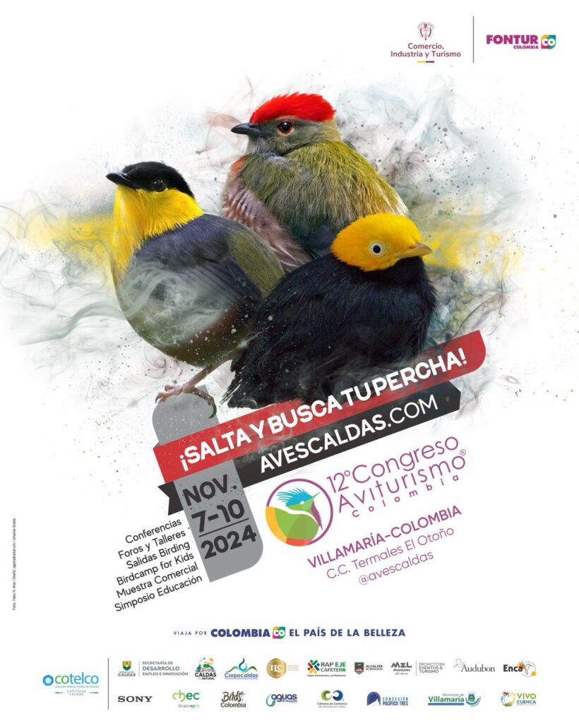 ¡Inicia la cuenta regresiva para el 12° Congreso de Aviturismo! La agenda académica del evento cuenta con expertos de varios países del mundo y con la agenda experiencial para observar aves en los principales hotspots de Caldas, con un potencial hasta de 400 especies de aves por registrar.