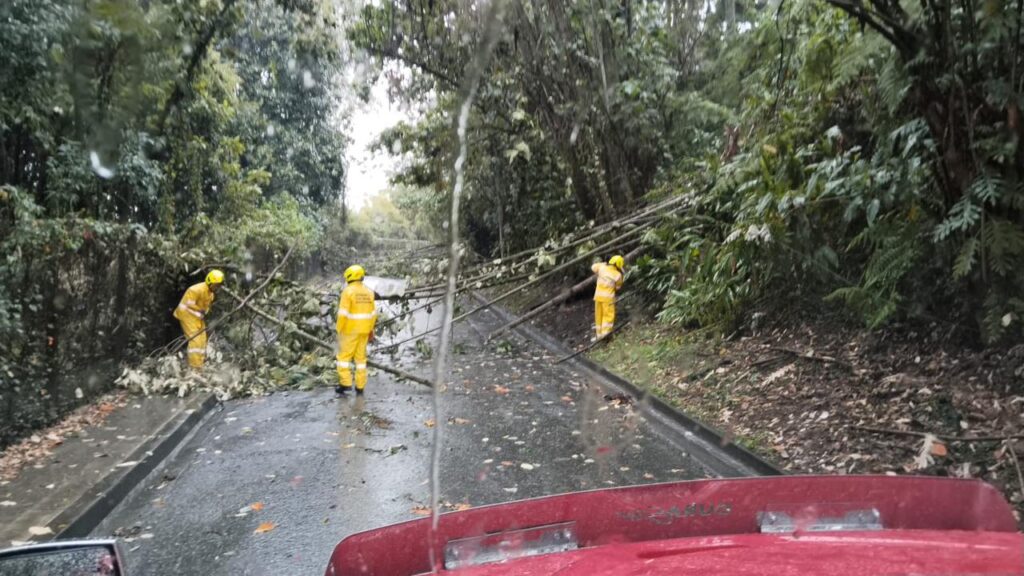 Lluvias torrenciales en Manizales activan planes de emergencia