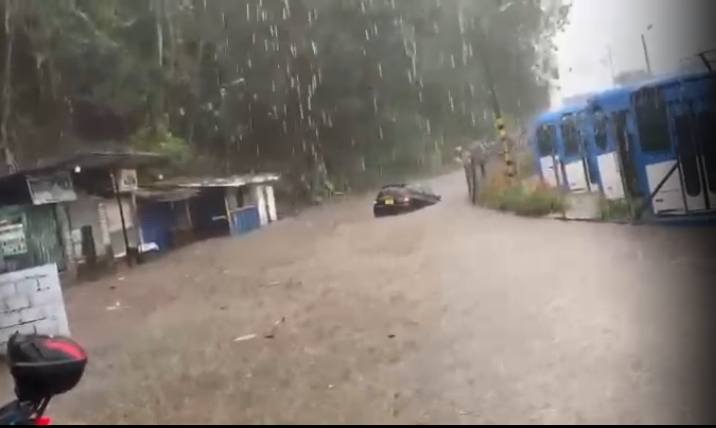 Lluvias torrenciales golpean Manizales: Emergencias y caídas de árboles en varios barrios