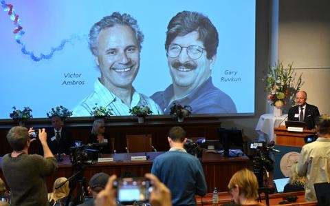 Los científicos Victor Ambros y Gary Ruvkun ganan el Nobel de Medicina por descubrir los microARN El Economista