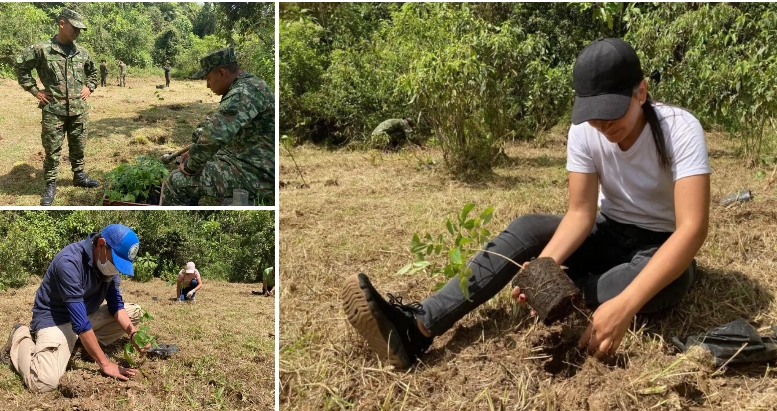 !Más oxígeno para Manizales¡: siembran 350 árboles en Monteleón