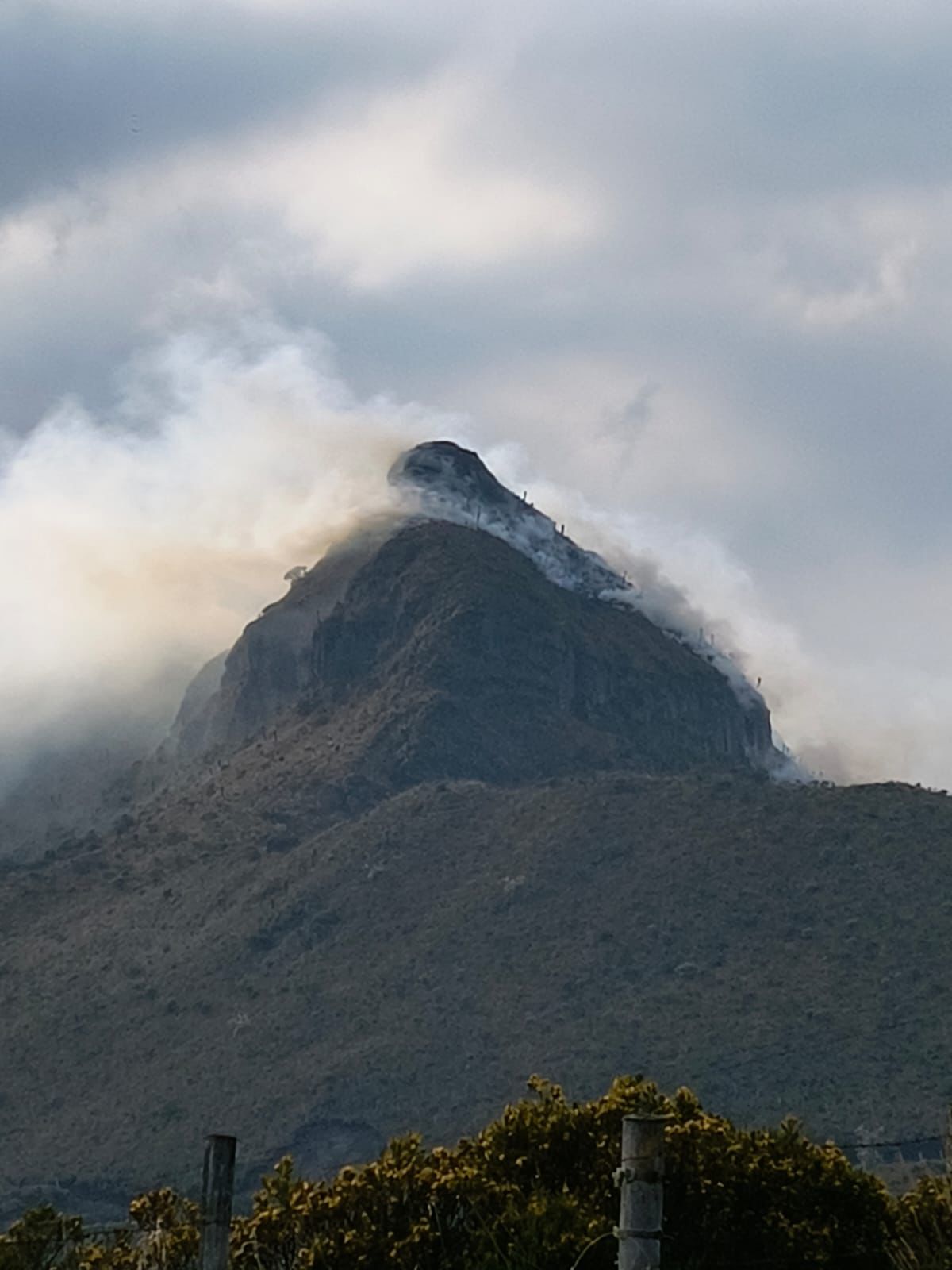 Crisis Ambiental en Caldas: Incendio Forestal en Gualí amenaza la Fauna y Flora del PNNN