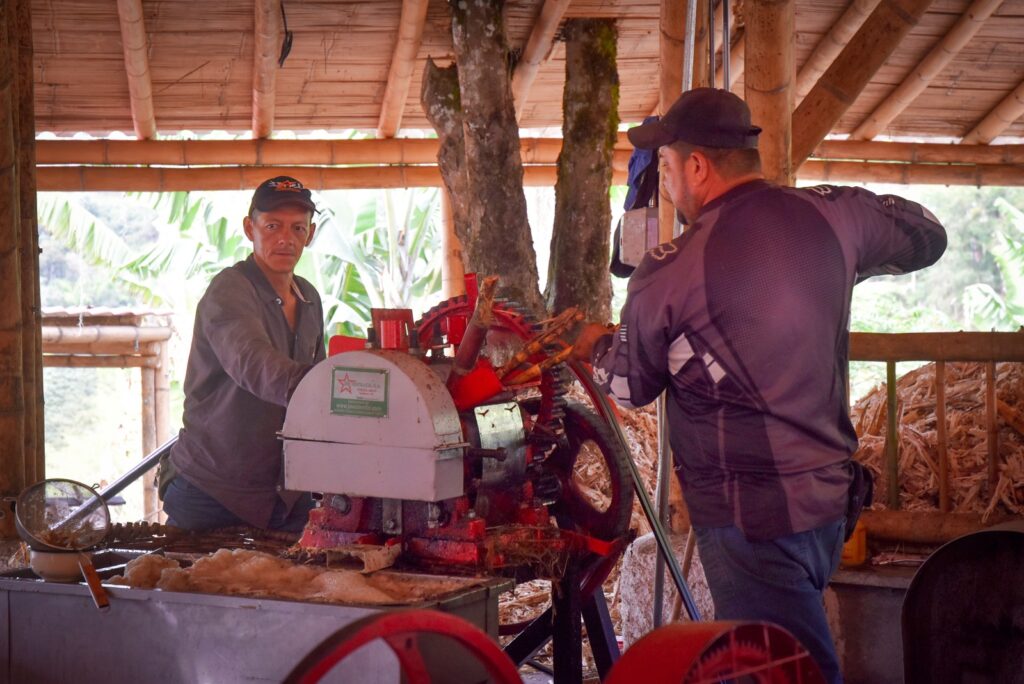 FOGÓN DE PALO PRESENTÓ SU TRAPICHE PANELERO: UNA EXPERIENCIA QUE CONECTA SABORES, TRADICIÓN Y CULTURA