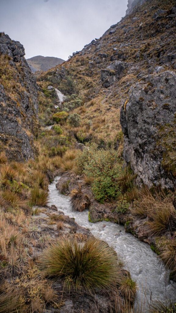 ¡Caldas se Hace Eco en la COP 16: Únete a la Lucha por la Biodiversidad!