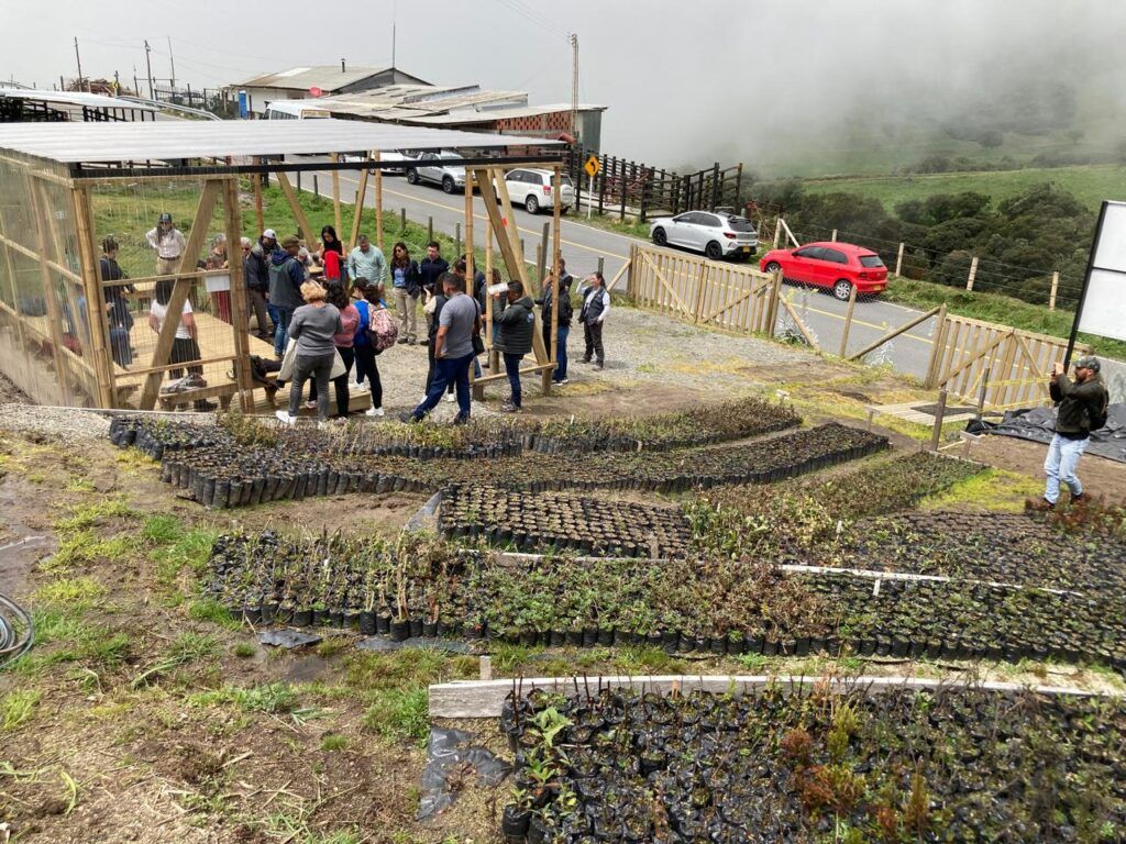 Alcaldía aliada en la inauguración del Vivero Pedagógico de Alta Montaña Torrecitas, Fondo de Agua VivoCuenca