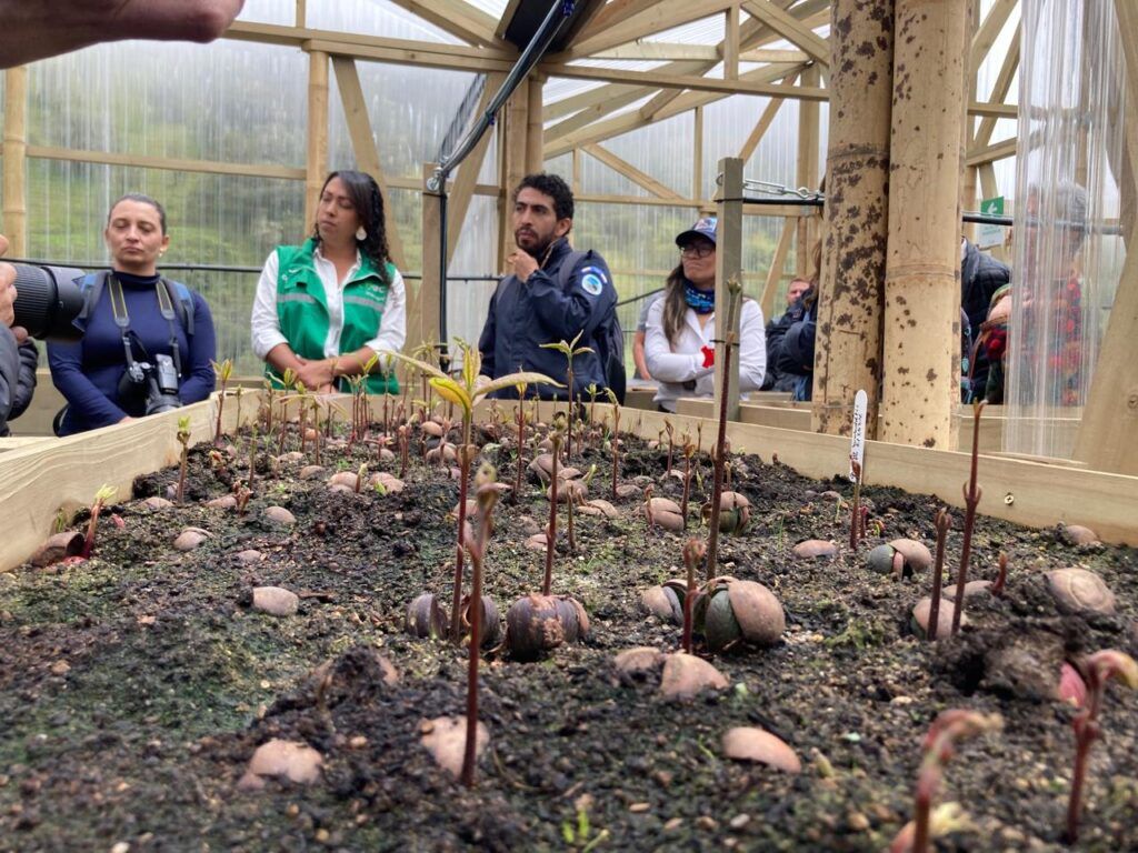 Alcaldía aliada en la inauguración del Vivero Pedagógico de Alta Montaña Torrecitas, Fondo de Agua VivoCuenca