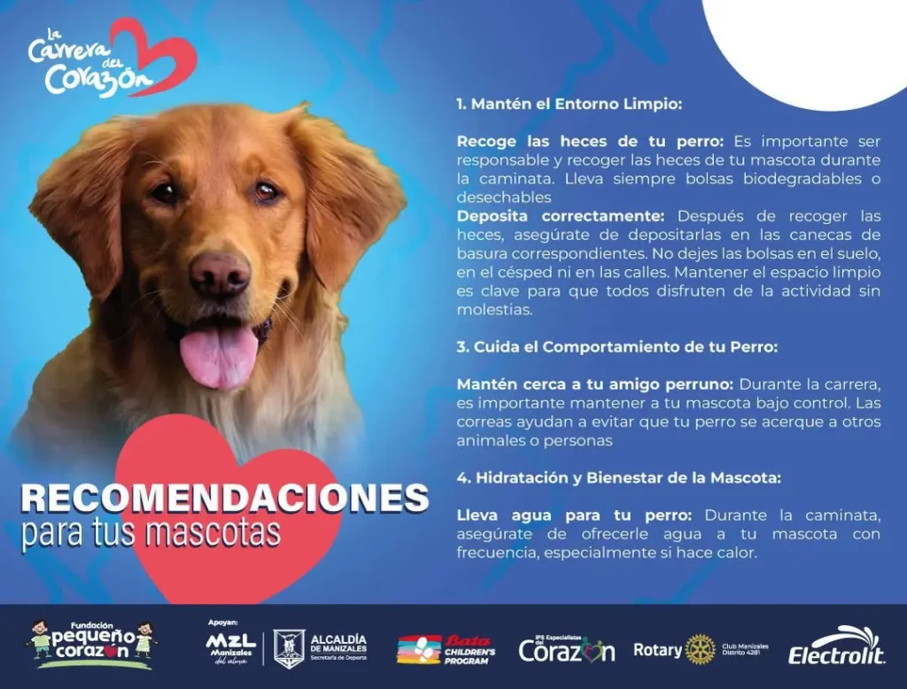 ¡La Carrera del Corazón: Un Evento que Salvavidas y Celebra la Solidaridad!
El próximo domingo 17 de noviembre, la ciudad de Manizales se llena de energía y esperanza con la Carrera del Corazón. ¡Únete y corre por una causa noble!