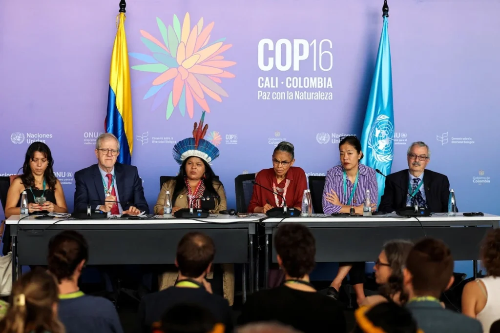 El acuerdo de la COP16 desbloquea una nueva fuente de financiación