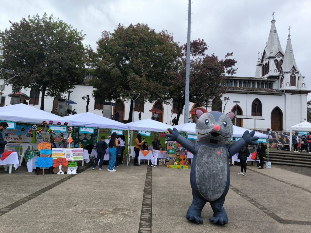 Feria de reconocimiento a iniciativas ambientales: Manizales educa para proteger el medio ambiente