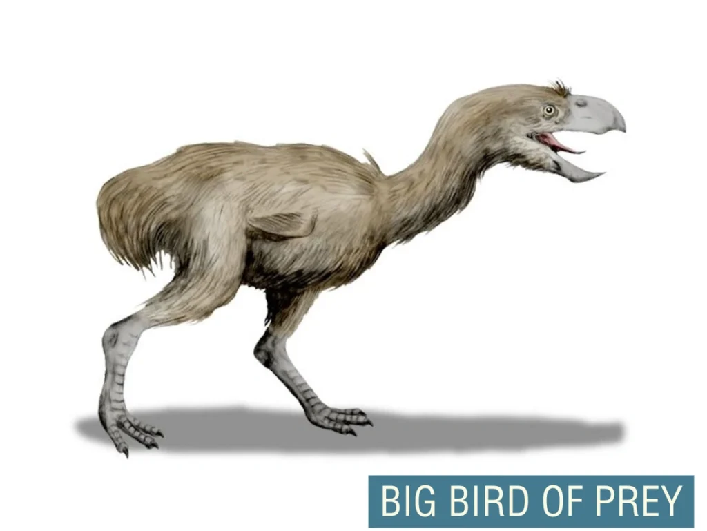 Identifican fósil de pájaro del terror