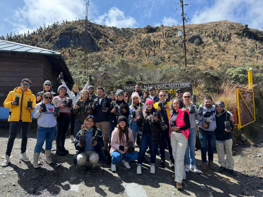 Voluntariado SENA sembró frailejones en inmediaciones del Volcán Nevado del Ruiz