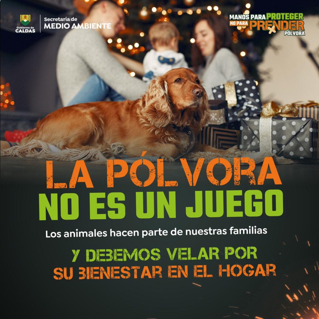 Con el inicio de diciembre, la Secretaría de Medio Ambiente hace recomendaciones para el cuidado de los animales durante las festividades por la pólvora