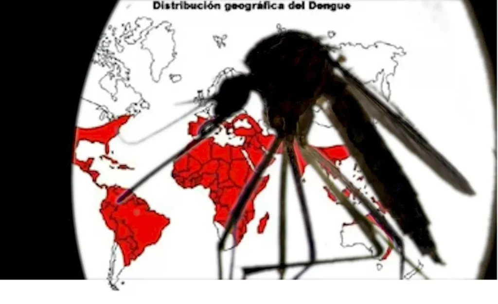 El calentamiento global aumenta el dengue en América Latina